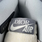 Dior x Air Jordan 1 High